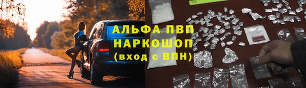крисы Баксан