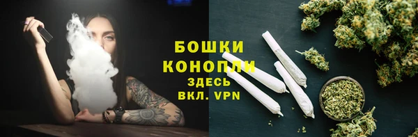 крисы Баксан
