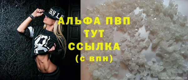 крисы Баксан