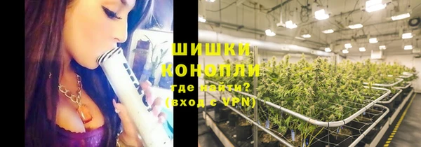 крисы Баксан