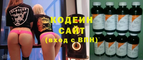 крисы Баксан