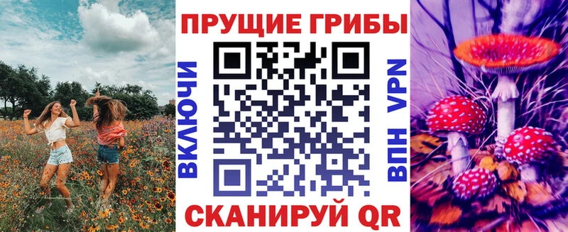 Псилоцибиновые грибы Cubensis закладки мориарти состав Пересвет